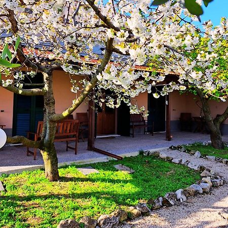 Don Federico Country Inn Moscufo Dış mekan fotoğraf